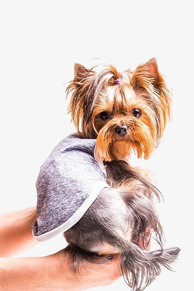 Pet Cloth