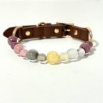 Dog Collar